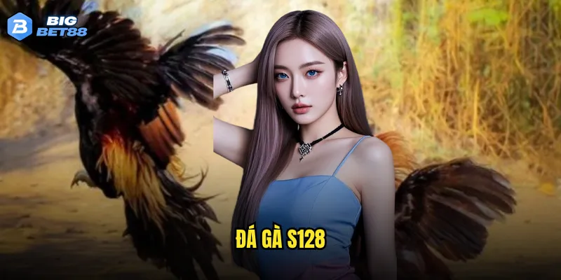 đá gà S128
