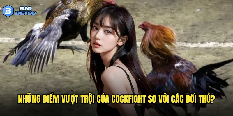 Trải nghiệm đá gà Cockfight tại Bigbet88 có thực sự chân thực như mong đợi? 3 Những điểm vượt trội của Cockfight so với các đối thủ?