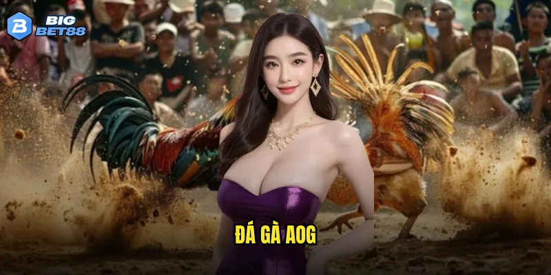 đá gà AOG
