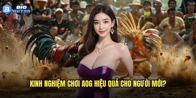 Liệu đá gà AOG của Bigbet88 có đáng để đầu tư thời gian và tiền bạc? 3 Kinh nghiệm chơi AOG hiệu quả cho người mới?